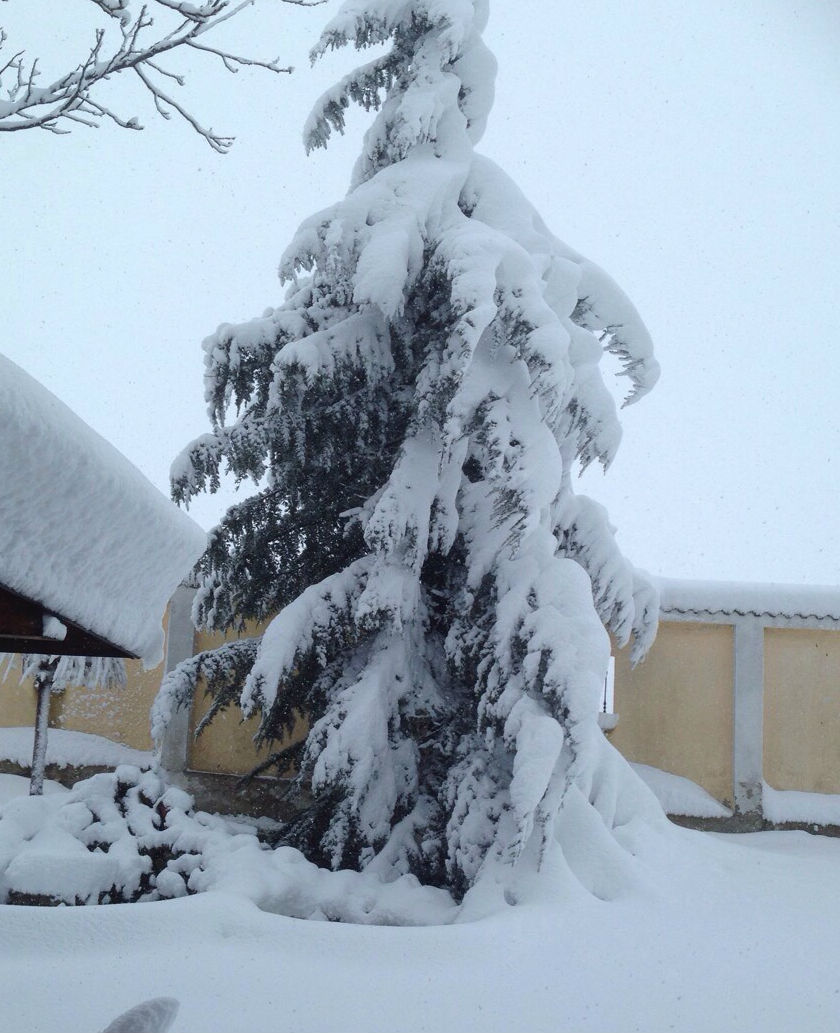 haskovo.jpg