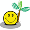 :fiscal_paradise: